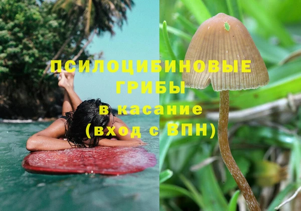 стафф Алексин