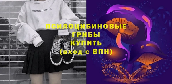 ГАЛЛЮЦИНОГЕННЫЕ ГРИБЫ Алзамай
