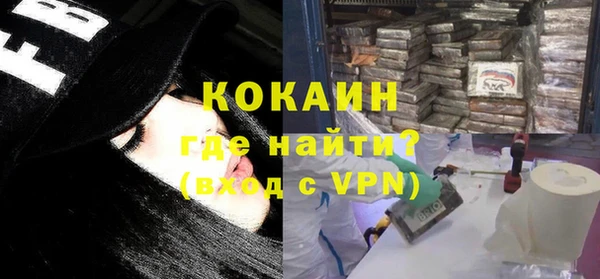 стафф Алексин