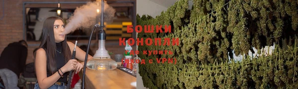 ГАЛЛЮЦИНОГЕННЫЕ ГРИБЫ Алзамай