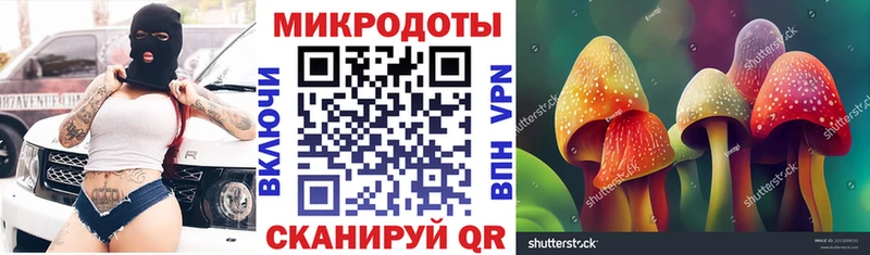 Псилоцибиновые грибы ЛСД  купить   кракен онион  Геленджик 